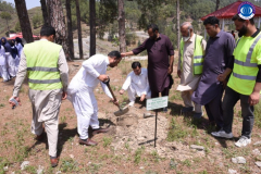 Plantation Drive 16-5-2025